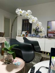 Blk 468 Segar Gardens (Bukit Panjang), HDB 5 Rooms #445770741